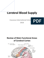 Cerebral Blood Flow