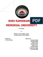 Shri Ramswaroop Memorial University: Synopsis