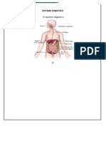 Material de Apoyo para Taller