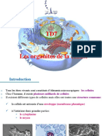 TD7 Les Organites de La Cellule PDF