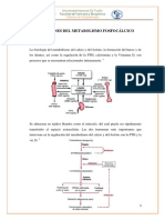 Alteraciones Del Metabolismo Fosfocálcico Final