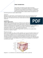 Sistema Tegumentario Texto Alumnos