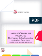 Clase 4 Los Neutrófilos y Sus Productos