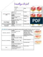 Semiología de Piel