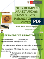 6enfermedades Parastarias en Cuyes - Cajamarca Junio2018