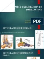 Anatomía y Exploración Articular de Tobillo y Pie