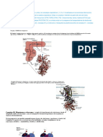 Examen Bioquímica