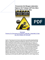 Tecnicas de Prevencion de Riesgos Laborales Seguridad E Higiene Del Trabajo (10º Ed.) PDF