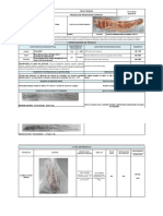 Ficha Tecnica Cerdo - Costilla - Frubana PDF