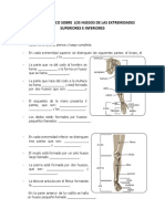 Taller Practico Sobre Los Huesos de Las Extremidades Superiores e Inferiores PDF