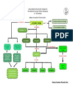 Mapa Conceptual de La Teoria Celular