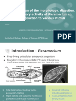 Paramecium Report