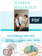 Examen Neurologico