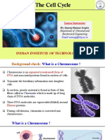 The Cell Cycle: Indian Institute of Technology Patna