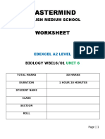 Mastermind: Worksheet