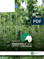 Boletin Estadistico Forestal Publicado