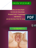 Vulva UDA PDF