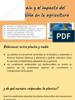 Estrés, Strain y El Impacto Del Niño y La Niña en La Agricultura PDF