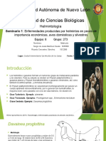 SeminarioHelmintologia 1