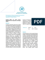 Plan de Intervencion en Familiares de Pacientes en Terapia Intensiva