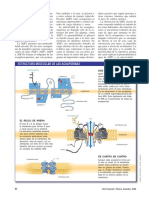 Acuaporinas A-2 PDF