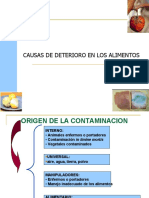 Causas de Deterioro de Los Alimentos