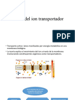 Teoria Del Ion Transportador