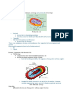 O There Will Be Other Parts Whether The Organism Is Gram Positive or Gram Negative