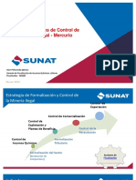 SUNAT Summary of Mercury Trade in Peru