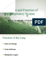 Structure and Function of The Respiratory System