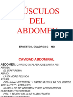 Músculos de Abdomen