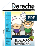 Suplemento 11 Amparo Previsional CH PDF