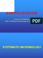 Staphylococcus: Zeinab Abd Elkhalek Prof. of Medical Microbiology & Immunology