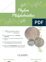 Exercise 4 Platyhelminthes