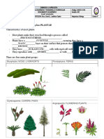 Activity 1 - The Plant Kingdom (6th Grade)