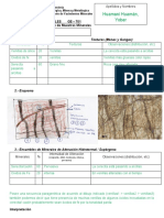 Descripciones de Rocas Yacimientos