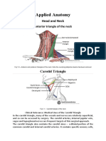 Applied Anatomy: Head and Neck