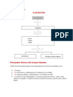 Para El Cuaderno Cyt