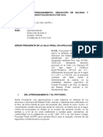 Modelo de Apersonamiento, Deducción de Nulidad y Constitución en Actor Civil