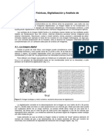 Capitulo 3. Bases Teoricas, Digitalizacion y Analisis de Imagenes PDF