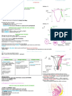 UE 9 - Fiche Tutorat - UTERUS, TROMPES Et OVAIRES PDF