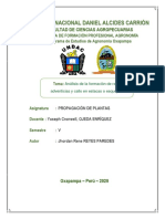 Analisis de Formacion de Raices Adventicias y Cayo