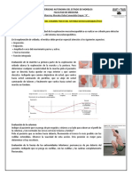 Monografia Exploracion Fisica Sistema Musculo Esqueletico