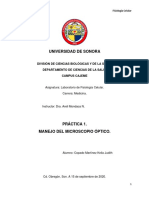 Practica 2 Manejo Del Microscopio