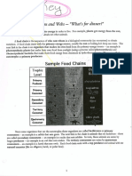 Food Chains and Webs Whats For Dinner KEY2