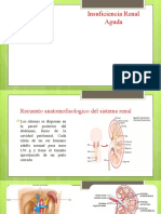 Insuficiencia Renal