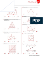 Fichas Adiconales-004