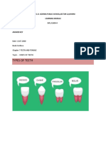 Types of Teeth: G.D. Goenka Public School, Sector-22, Rohini Learning Module Evs, Class 4 Module-3 Answer Key