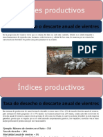 Indices Zootecnicos 