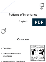 4 CH 9 Patterns of Inheritance